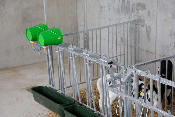 KERBL Modulare Zaunaufstallung Fanggitter